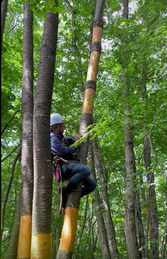 【特集】2026年1月16日放送分が視聴できます（ABS秋田放送）